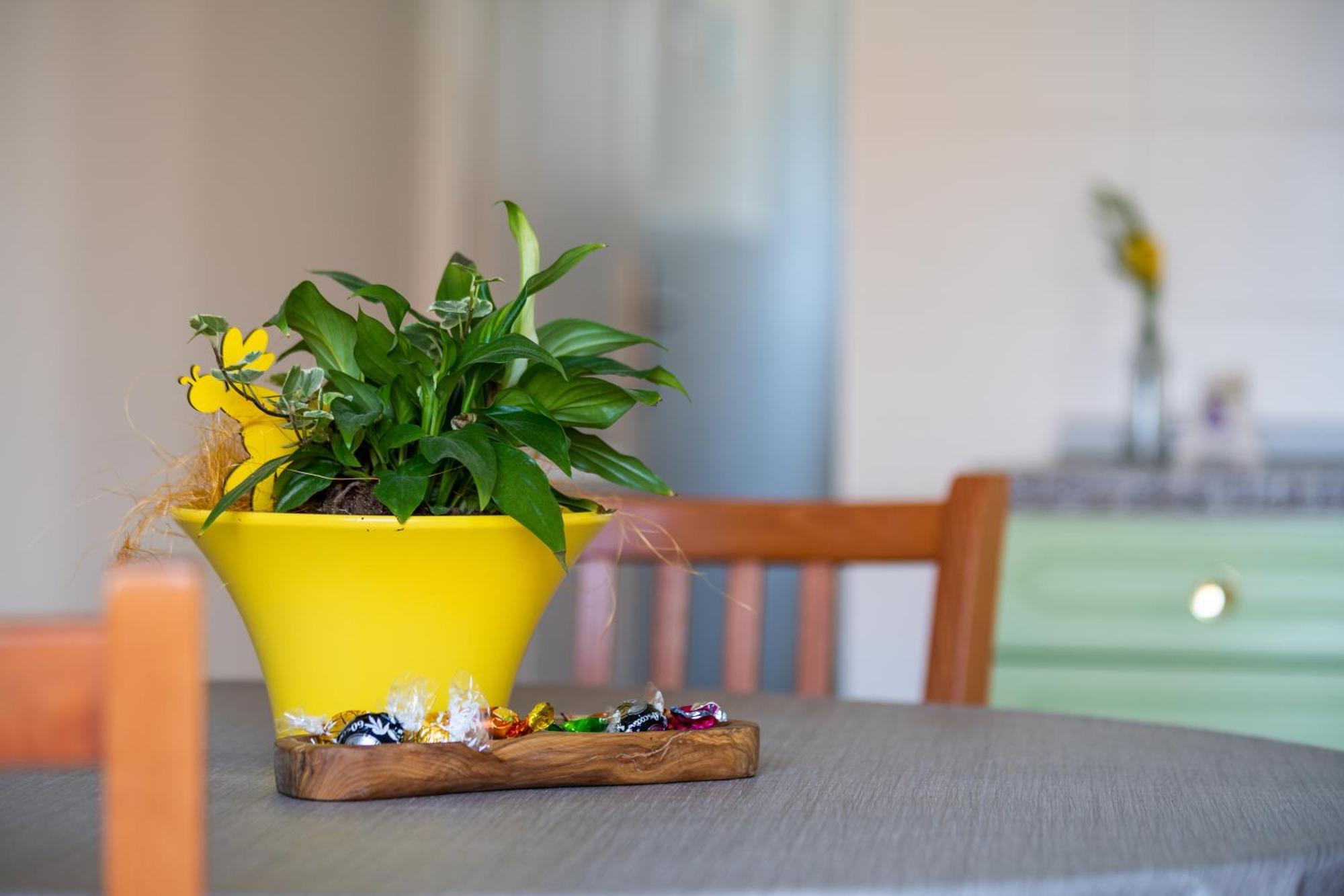 Apartment Lenko 2 Kožino Εξωτερικό φωτογραφία